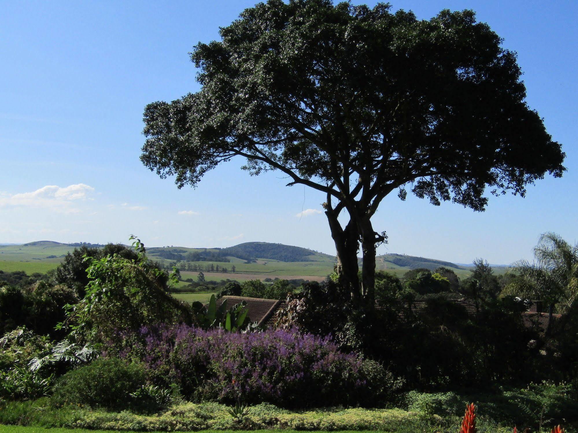 Sugar Hill Manor Hotell Eshowe Eksteriør bilde